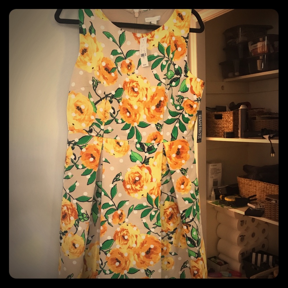 Beautiful brand new dress!